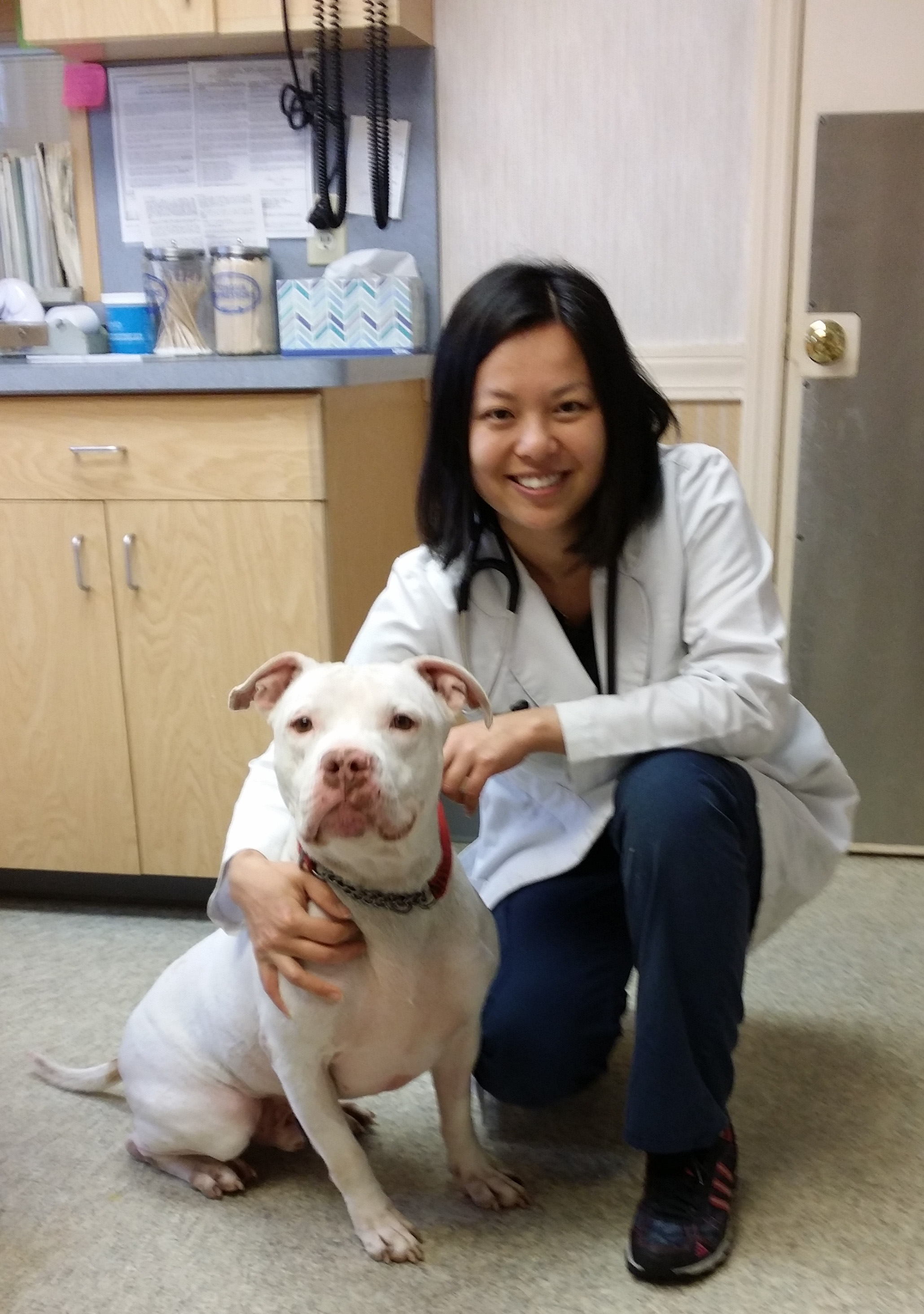 About - Patchogue Animal Hospital